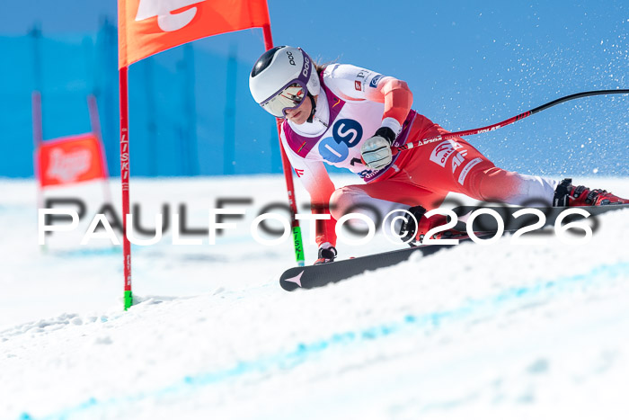 NC + NJC DH ,Frauen + Männer Axamer Lizum 25.03.2026