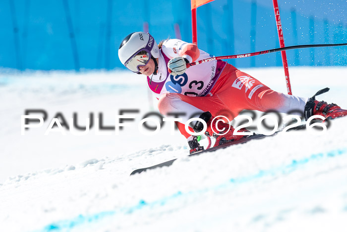 NC + NJC DH ,Frauen + Männer Axamer Lizum 25.03.2026