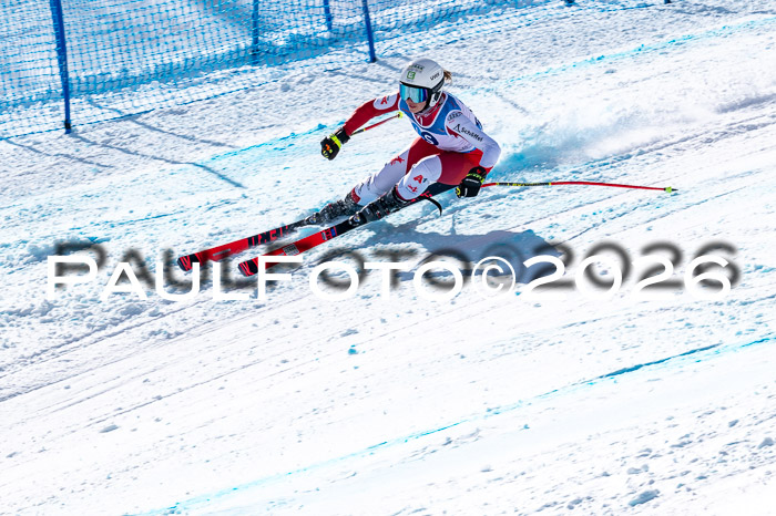 NC + NJC DH ,Frauen + Männer Axamer Lizum 25.03.2026