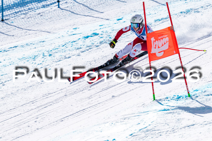 NC + NJC DH ,Frauen + Männer Axamer Lizum 25.03.2026