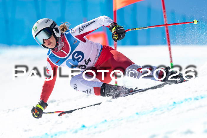 NC + NJC DH ,Frauen + Männer Axamer Lizum 25.03.2026