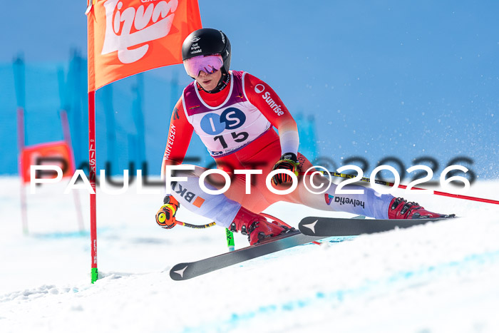 NC + NJC DH ,Frauen + Männer Axamer Lizum 25.03.2026