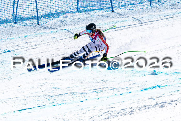 NC + NJC DH ,Frauen + Männer Axamer Lizum 25.03.2026