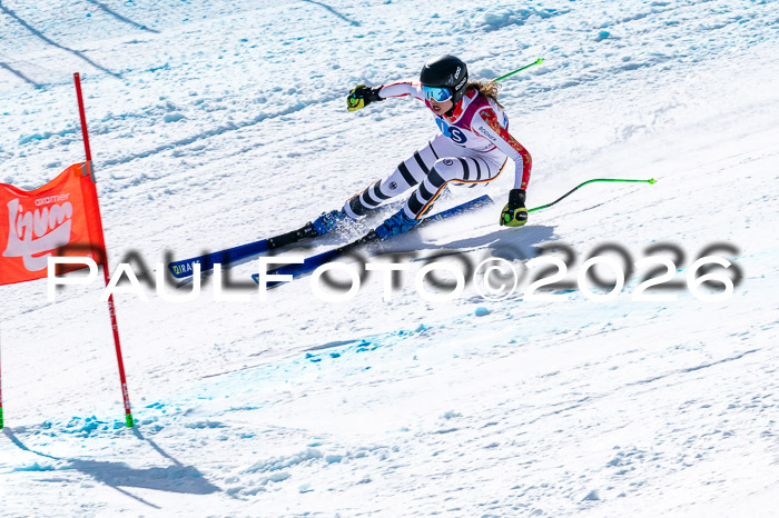 NC + NJC DH ,Frauen + Männer Axamer Lizum 25.03.2026