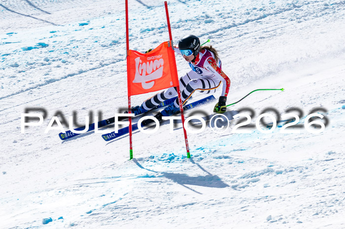 NC + NJC DH ,Frauen + Männer Axamer Lizum 25.03.2026