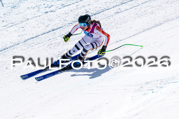 NC + NJC DH ,Frauen + Männer Axamer Lizum 25.03.2026