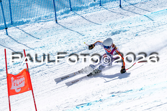 NC + NJC DH ,Frauen + Männer Axamer Lizum 25.03.2026