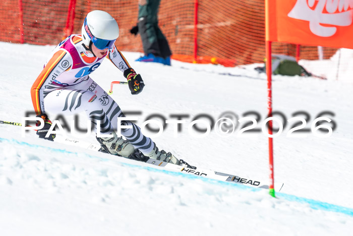 NC + NJC DH ,Frauen + Männer Axamer Lizum 25.03.2026