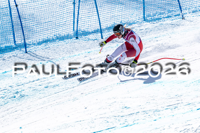 NC + NJC DH ,Frauen + Männer Axamer Lizum 25.03.2026