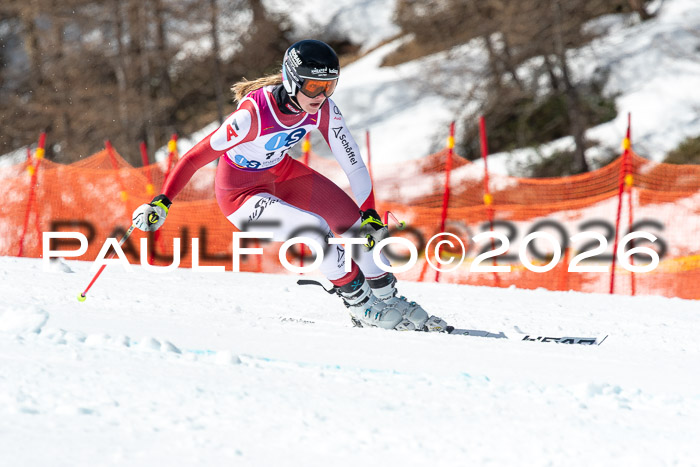 NC + NJC DH ,Frauen + Männer Axamer Lizum 25.03.2026