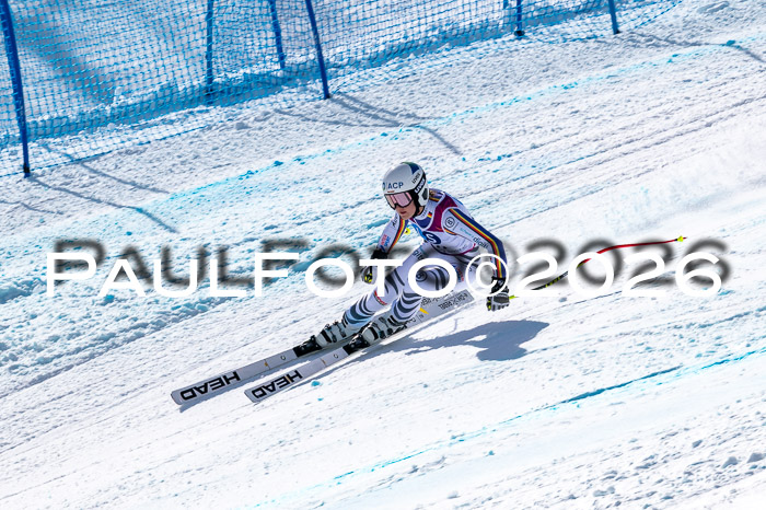 NC + NJC DH ,Frauen + Männer Axamer Lizum 25.03.2026