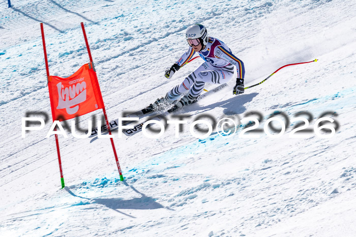 NC + NJC DH ,Frauen + Männer Axamer Lizum 25.03.2026