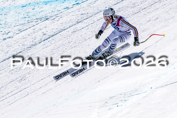 NC + NJC DH ,Frauen + Männer Axamer Lizum 25.03.2026