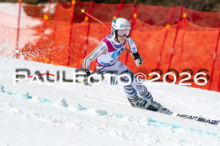 NC + NJC DH ,Frauen + Männer Axamer Lizum 25.03.2026