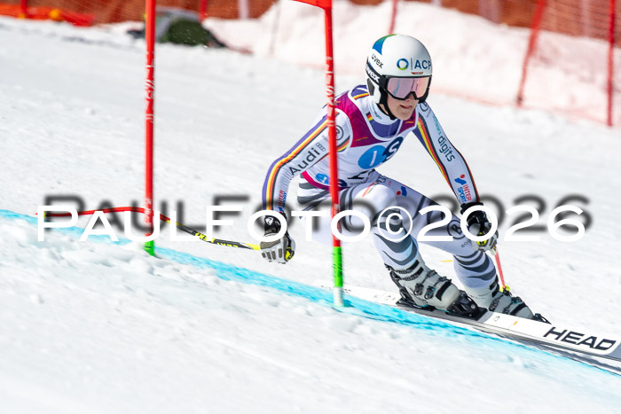 NC + NJC DH ,Frauen + Männer Axamer Lizum 25.03.2026