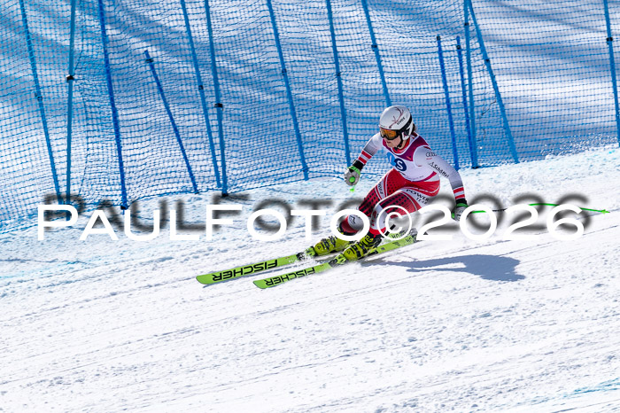 NC + NJC DH ,Frauen + Männer Axamer Lizum 25.03.2026