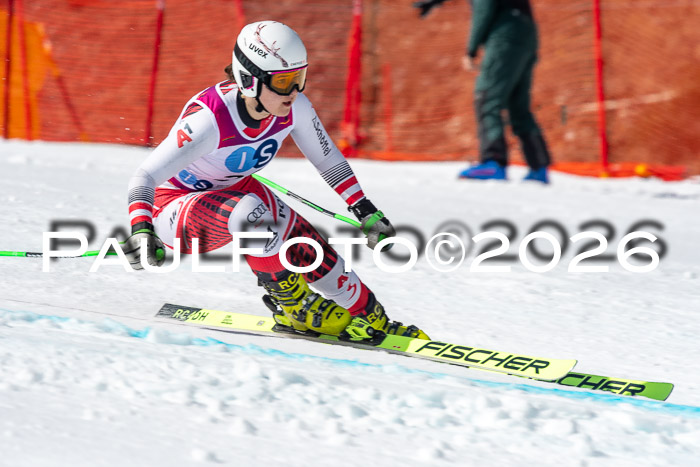 NC + NJC DH ,Frauen + Männer Axamer Lizum 25.03.2026