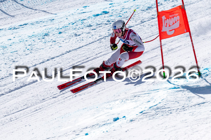 NC + NJC DH ,Frauen + Männer Axamer Lizum 25.03.2026