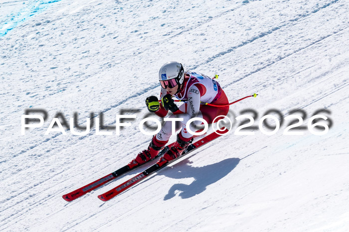 NC + NJC DH ,Frauen + Männer Axamer Lizum 25.03.2026