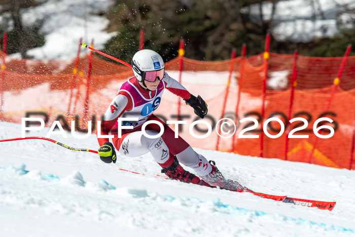 NC + NJC DH ,Frauen + Männer Axamer Lizum 25.03.2026