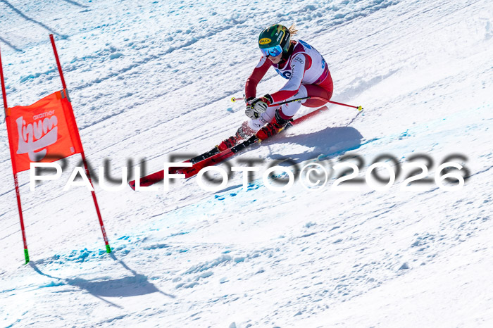 NC + NJC DH ,Frauen + Männer Axamer Lizum 25.03.2026