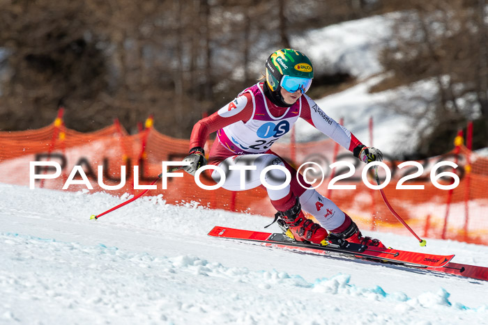 NC + NJC DH ,Frauen + Männer Axamer Lizum 25.03.2026