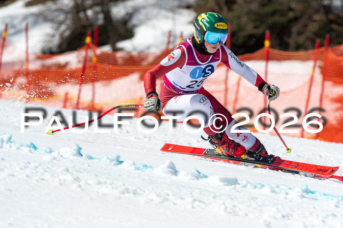 NC + NJC DH ,Frauen + Männer Axamer Lizum 25.03.2026