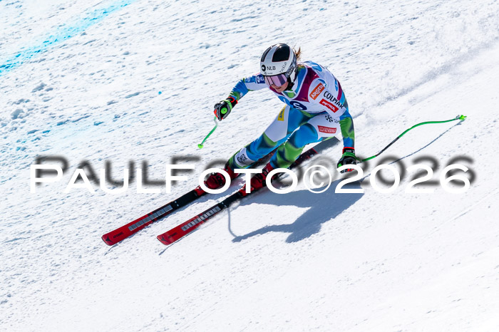 NC + NJC DH ,Frauen + Männer Axamer Lizum 25.03.2026