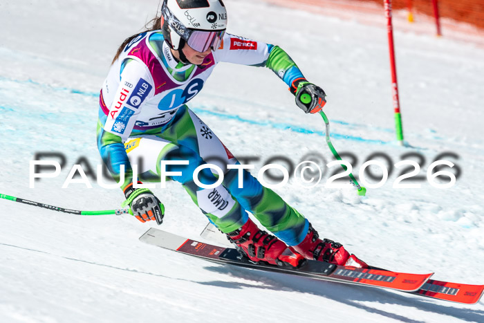 NC + NJC DH ,Frauen + Männer Axamer Lizum 25.03.2026