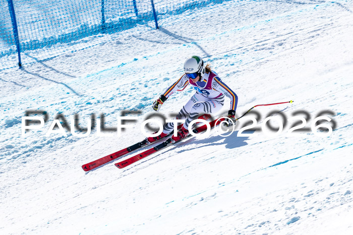 NC + NJC DH ,Frauen + Männer Axamer Lizum 25.03.2026