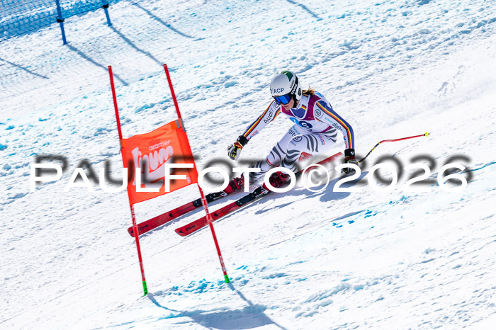 NC + NJC DH ,Frauen + Männer Axamer Lizum 25.03.2026