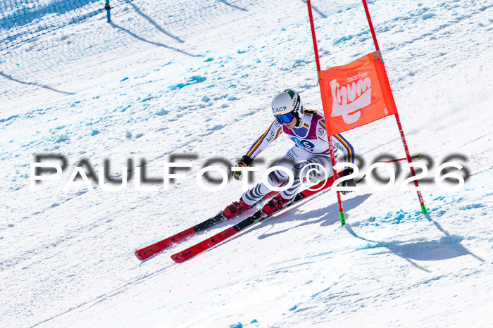 NC + NJC DH ,Frauen + Männer Axamer Lizum 25.03.2026