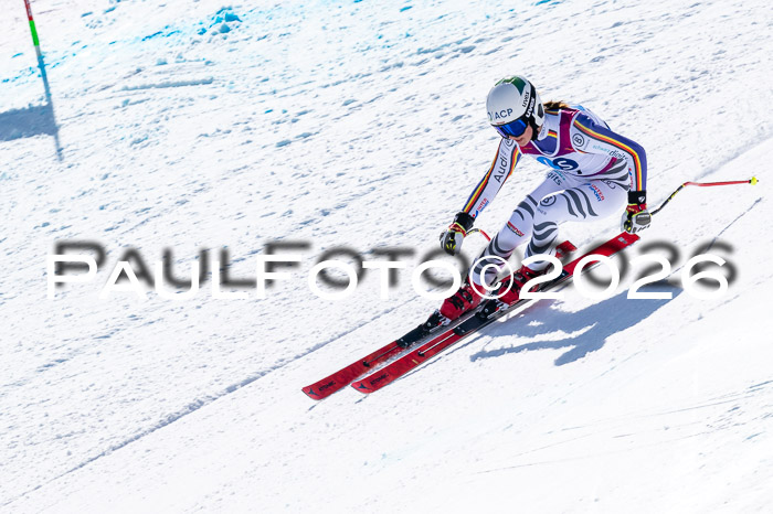 NC + NJC DH ,Frauen + Männer Axamer Lizum 25.03.2026