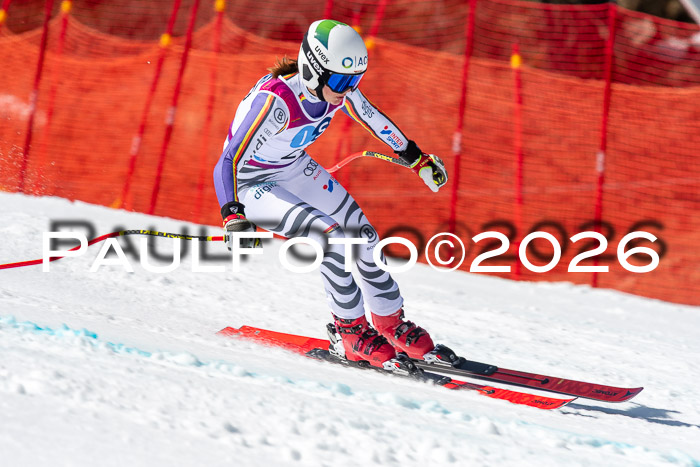 NC + NJC DH ,Frauen + Männer Axamer Lizum 25.03.2026