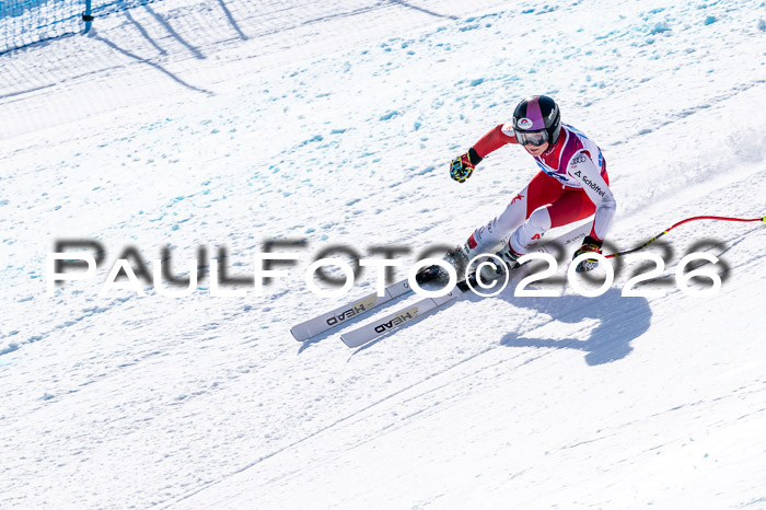 NC + NJC DH ,Frauen + Männer Axamer Lizum 25.03.2026