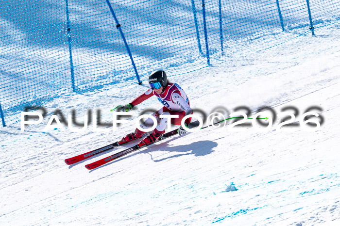 NC + NJC DH ,Frauen + Männer Axamer Lizum 25.03.2026