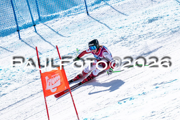 NC + NJC DH ,Frauen + Männer Axamer Lizum 25.03.2026