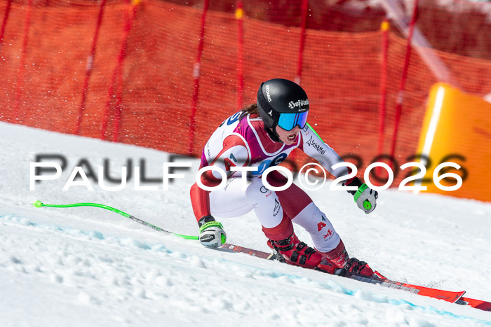 NC + NJC DH ,Frauen + Männer Axamer Lizum 25.03.2026