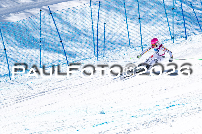 NC + NJC DH ,Frauen + Männer Axamer Lizum 25.03.2026