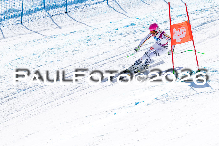 NC + NJC DH ,Frauen + Männer Axamer Lizum 25.03.2026