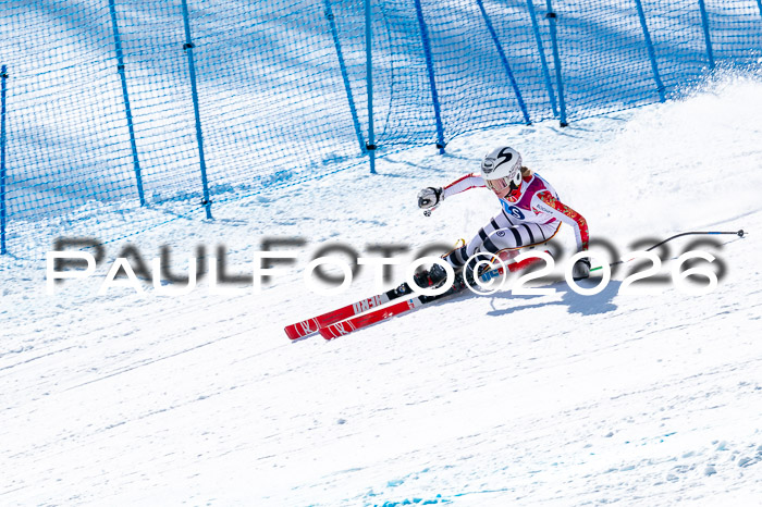 NC + NJC DH ,Frauen + Männer Axamer Lizum 25.03.2026