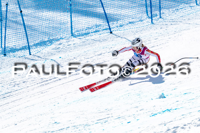 NC + NJC DH ,Frauen + Männer Axamer Lizum 25.03.2026