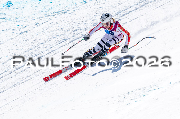 NC + NJC DH ,Frauen + Männer Axamer Lizum 25.03.2026