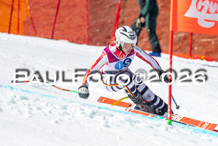 NC + NJC DH ,Frauen + Männer Axamer Lizum 25.03.2026