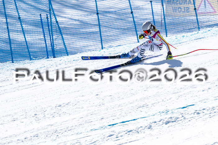 NC + NJC DH ,Frauen + Männer Axamer Lizum 25.03.2026