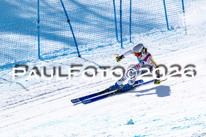 NC + NJC DH ,Frauen + Männer Axamer Lizum 25.03.2026