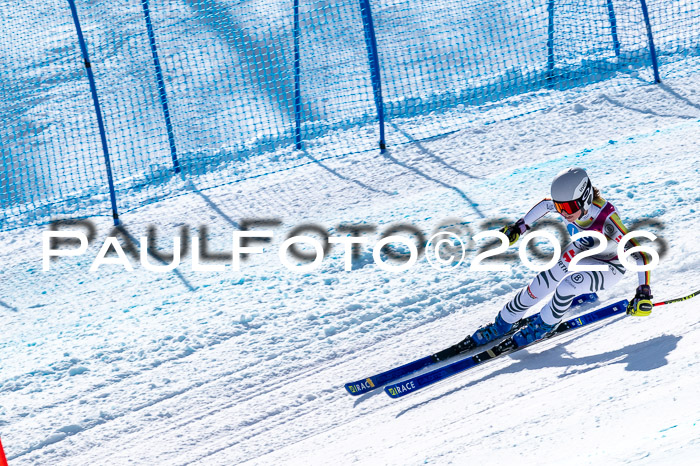 NC + NJC DH ,Frauen + Männer Axamer Lizum 25.03.2026