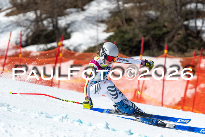 NC + NJC DH ,Frauen + Männer Axamer Lizum 25.03.2026