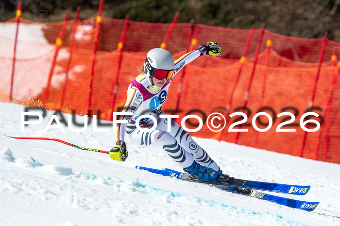 NC + NJC DH ,Frauen + Männer Axamer Lizum 25.03.2026