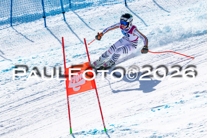 NC + NJC DH ,Frauen + Männer Axamer Lizum 25.03.2026